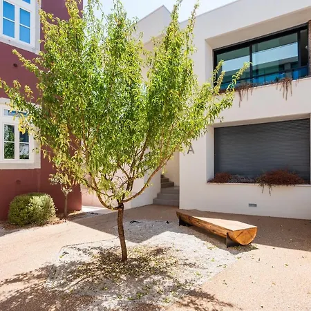 Diamond Downtown Center *